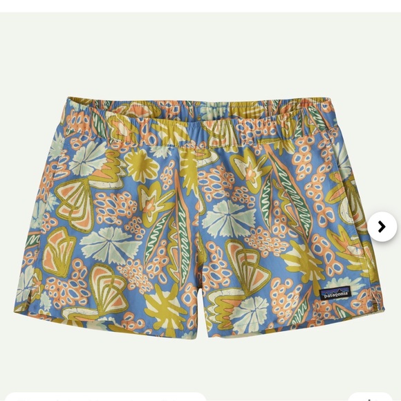 Patagonia Pants - nwt patagonia women’s barely baggies